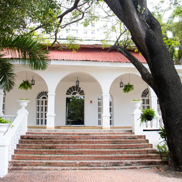 galeria 1
