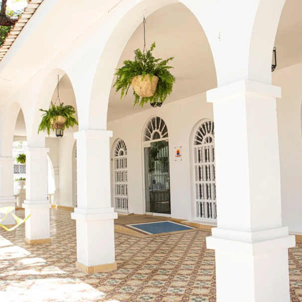 galeria 3
