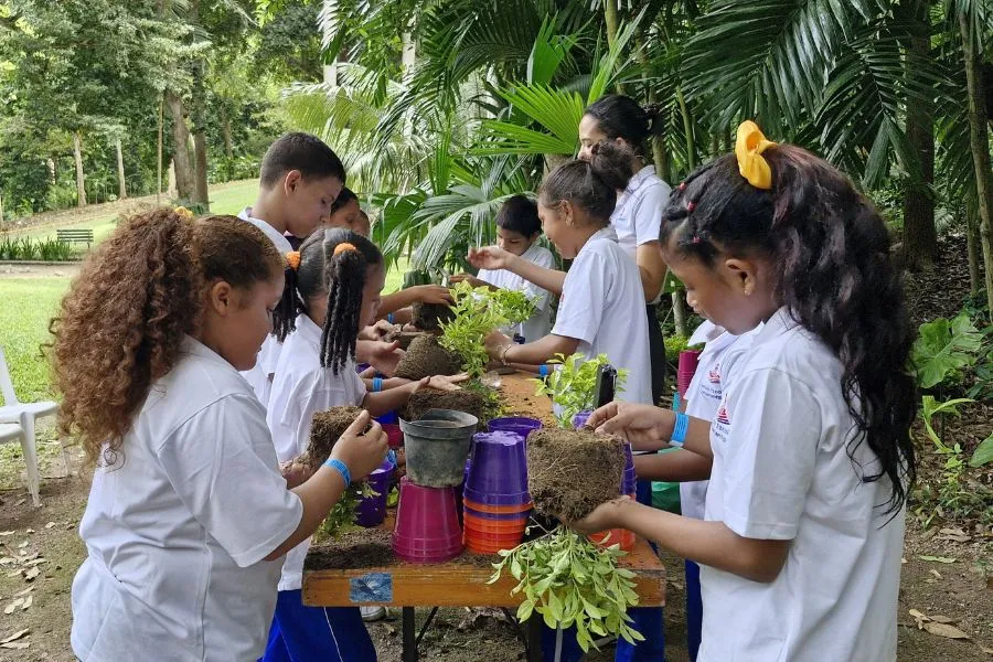ciencia y ambiente